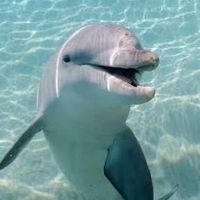 boom the end start again