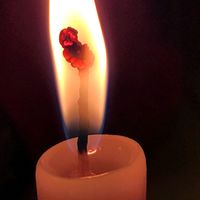 gypsy_fire33