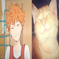 shoyo_lover1