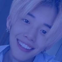 five nights at moas diary