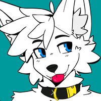 jeshygotpaws