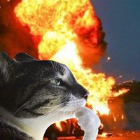 idk_what_is_going_on7