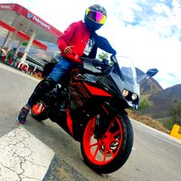shunior31