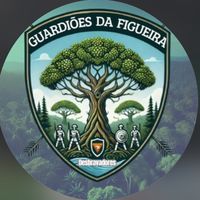 falcoesdamantiqueira_