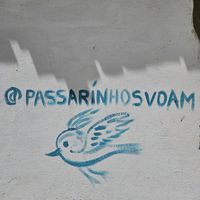 passarinhosvoa