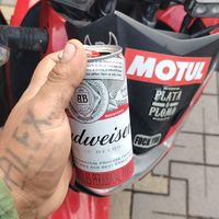 alexander.29.tauro10k