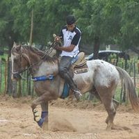 rafael.mota482