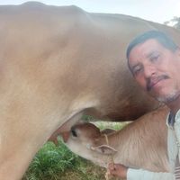 edgarurbina260