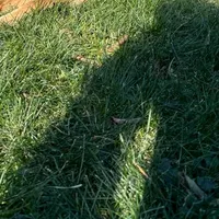 original sound - horrornightmares08