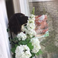 x..roblox..xvibesx..x