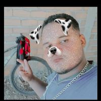 zzilydo_ff