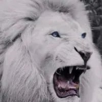 original sound - abaallaith