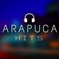 arapuca.hits