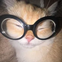 original sound - skatefastripass