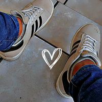 david1._19