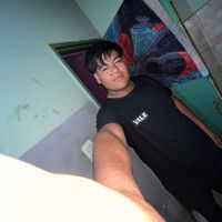 _mauricoria