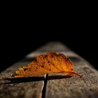 original sound - sintahlyrics2