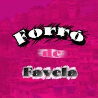 _forro_de_favelaa_