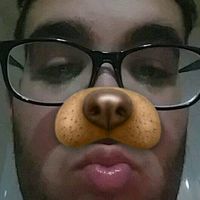 borjajeronimoprad
