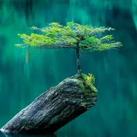 original sound - conyezz0