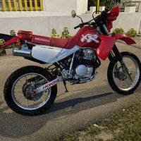 fadda1fadora