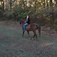 savannahschmitt6