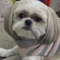 noodles_134