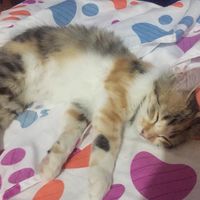 emmitha28