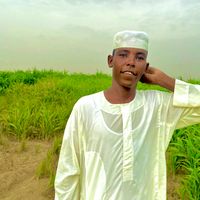 user2260011598543