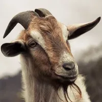 original sound - jfloydd