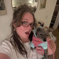 dakotajohnsonskitchenxo