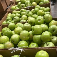 lidiacondorivallejos1231