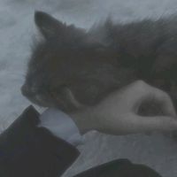 оригинальный звук