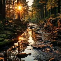 الصوت الأصلي