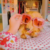 drunk.preppy_