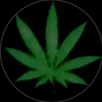 original sound - michjxx878