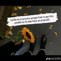 gmezhernndezsol