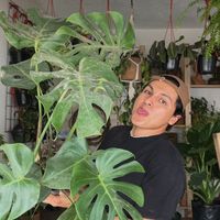 leonardo_collins