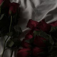 leeannrromantics