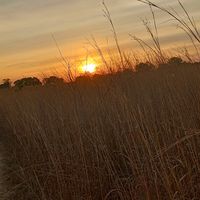 isailtonalvesdasilva