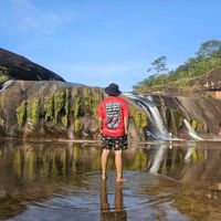 mant_2535