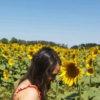 flor_mansilla_