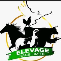 elevagesanslimitee