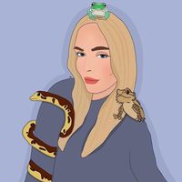 newlightpets