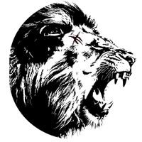 lionmind17