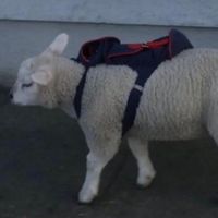 mensclothesenthusiast