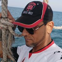 usmistemilanista