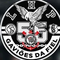 gavioesdafiel199