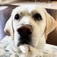 bustersworld4