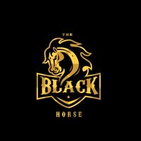 blackhorseacademy